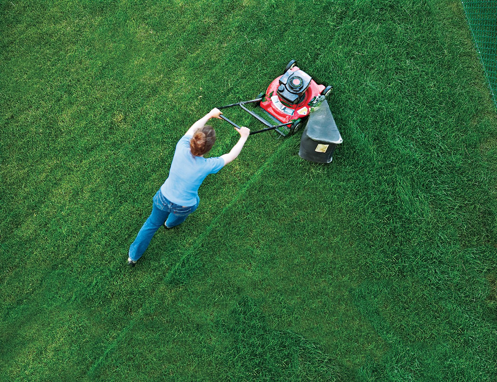 A Guide to Manual Lawn Mowers