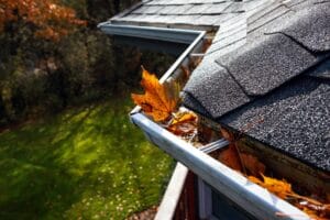 Leaves in Gutter