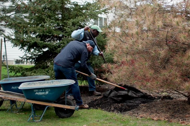 S23 E18: Lee Gilliam helps treat a diseased tree