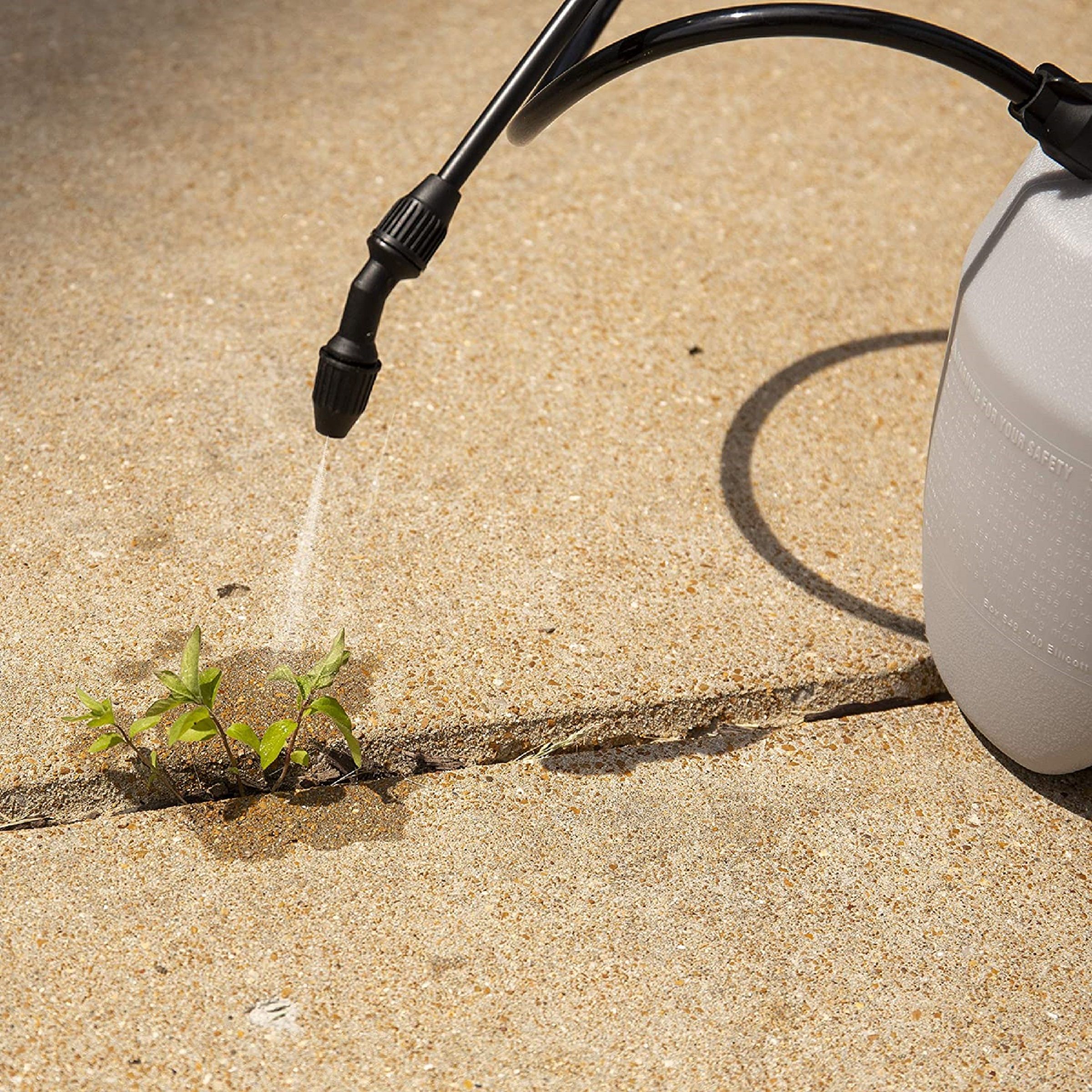 Our 6 Best Weed Killer Picks