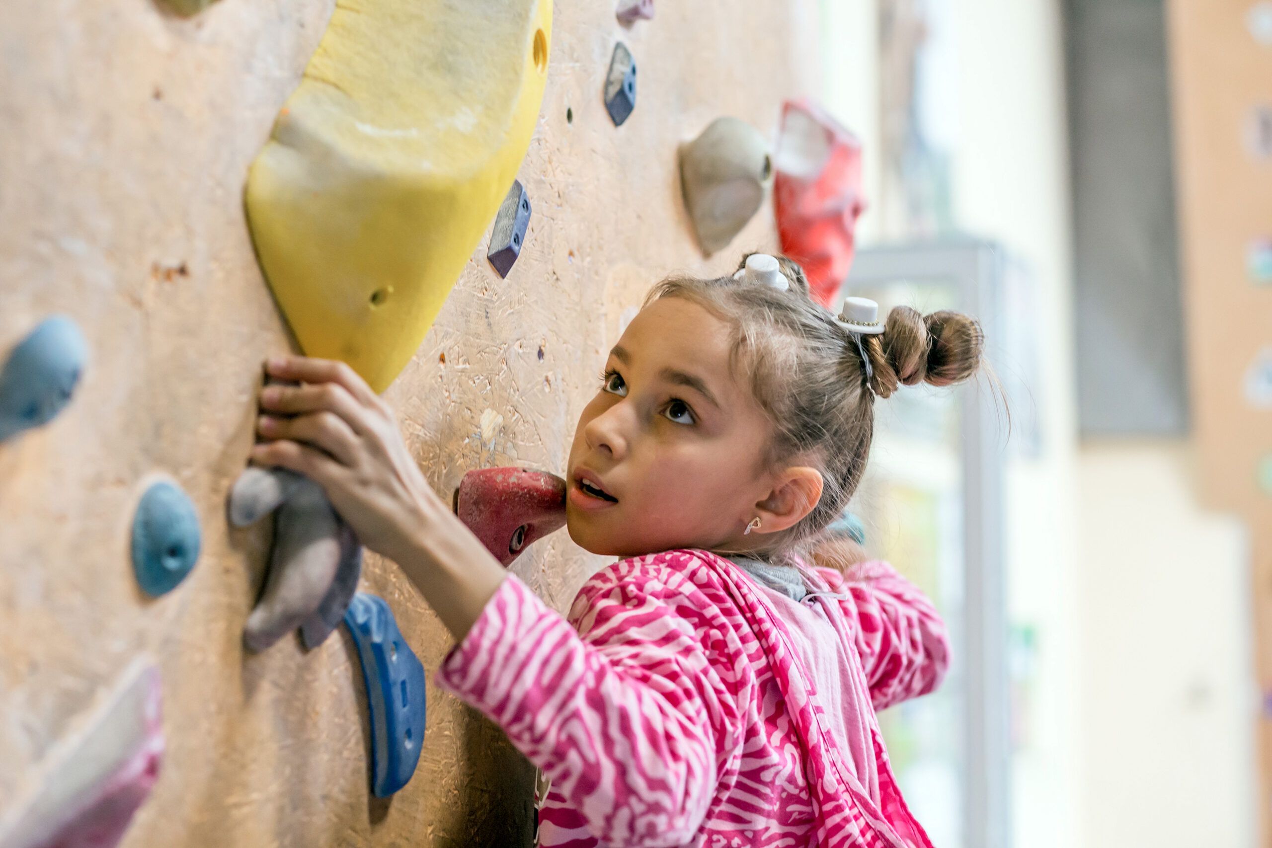 How To Build a DIY Rock Climbing Wall