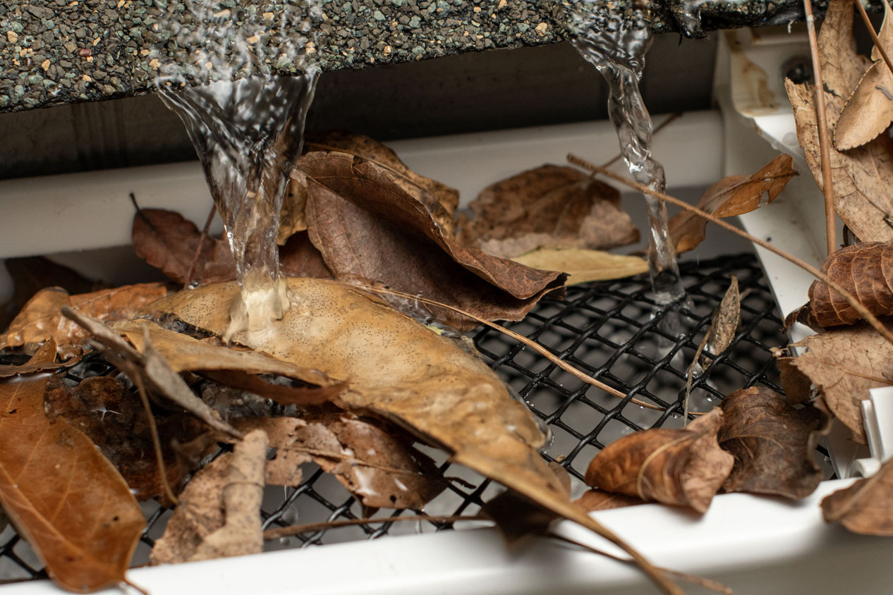 Best Gutter Guards