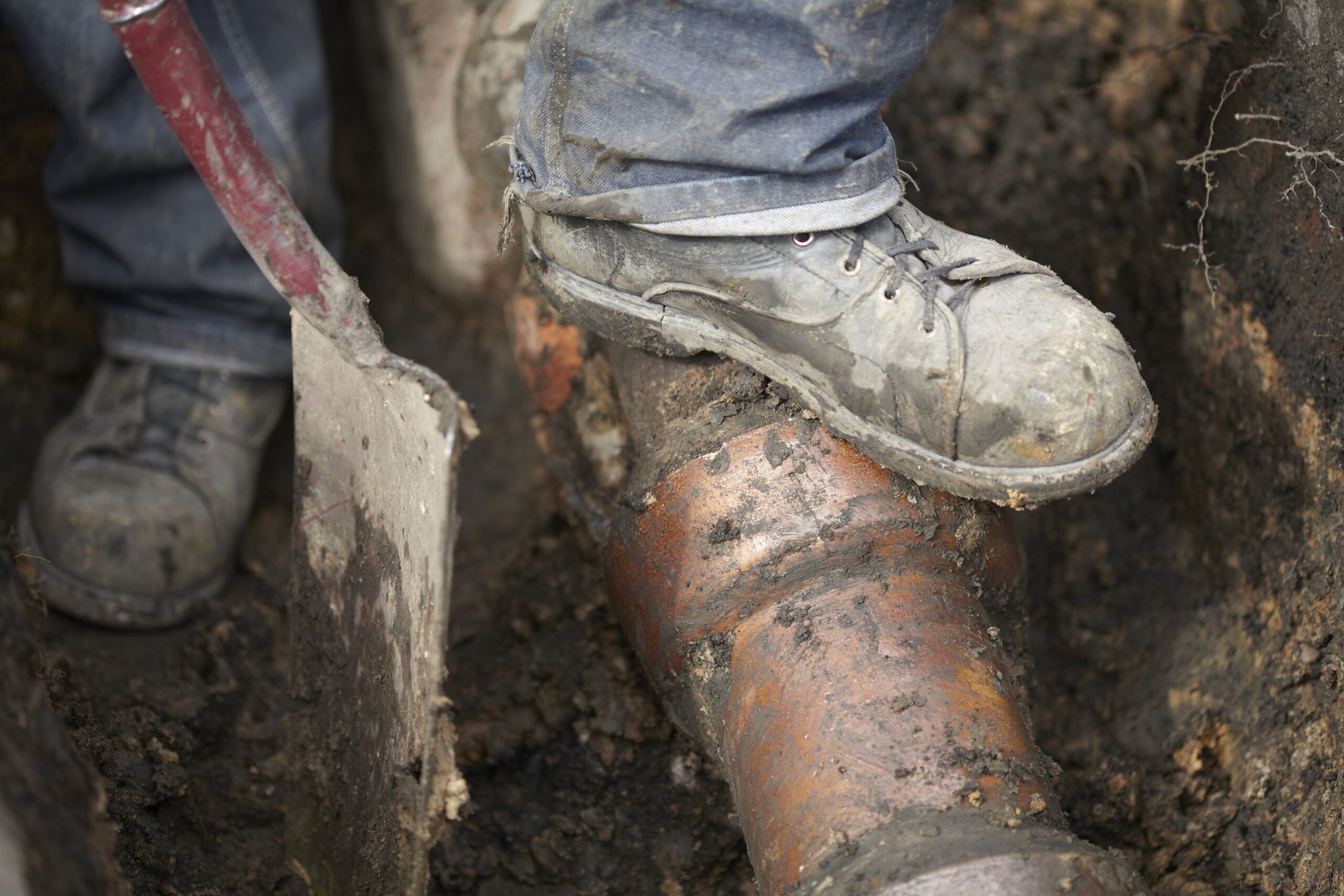 What To Do When Your Sewer Backs Up