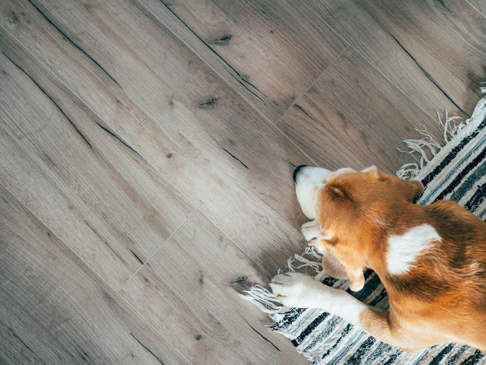 A room with laminate floors.