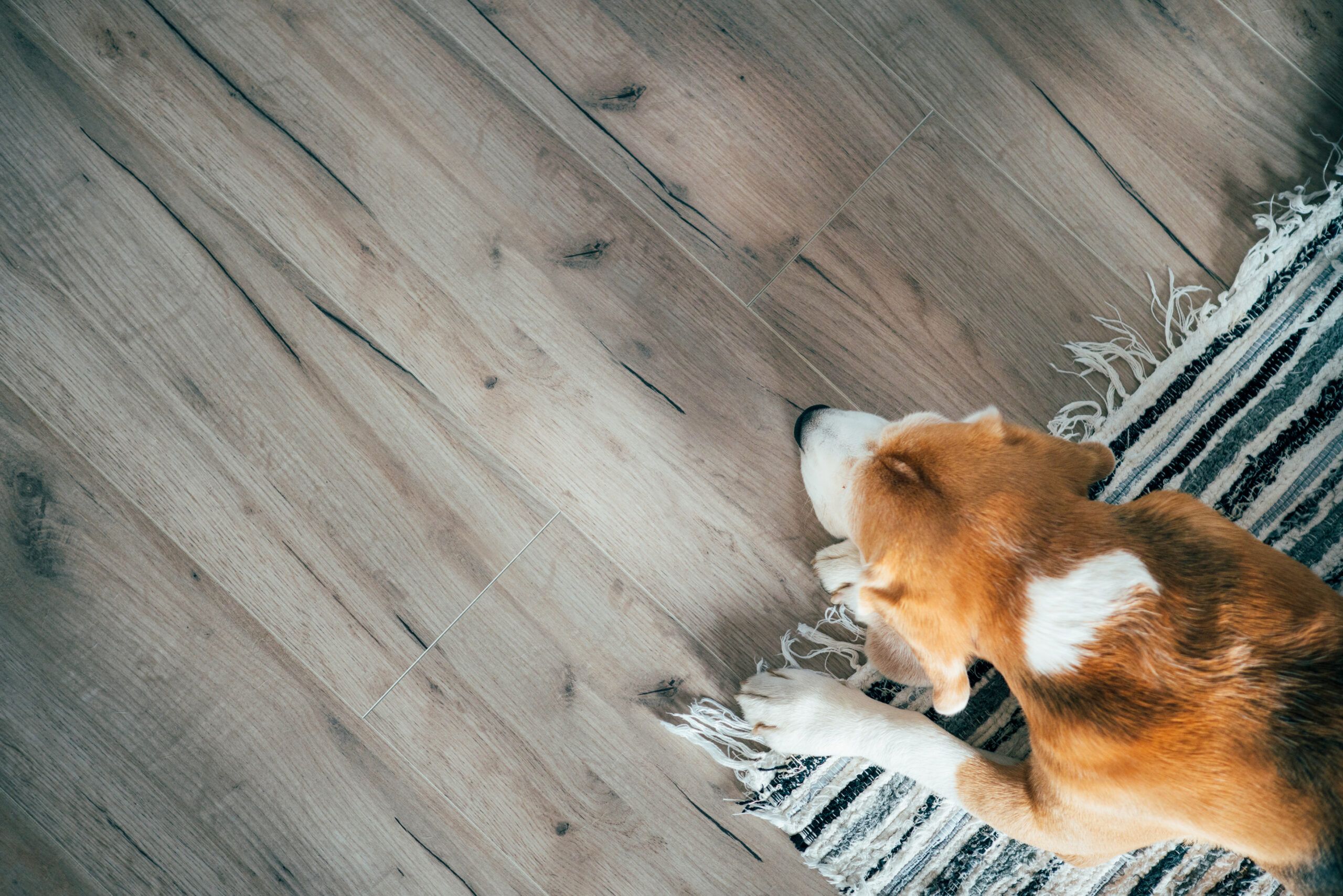 How To Clean Laminate Floors