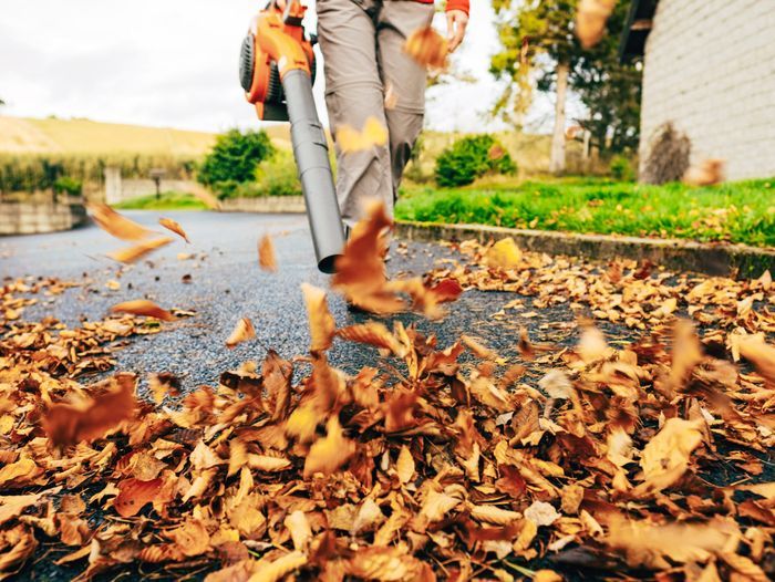 best leaf blowers buying guide, best leaf blower hero image