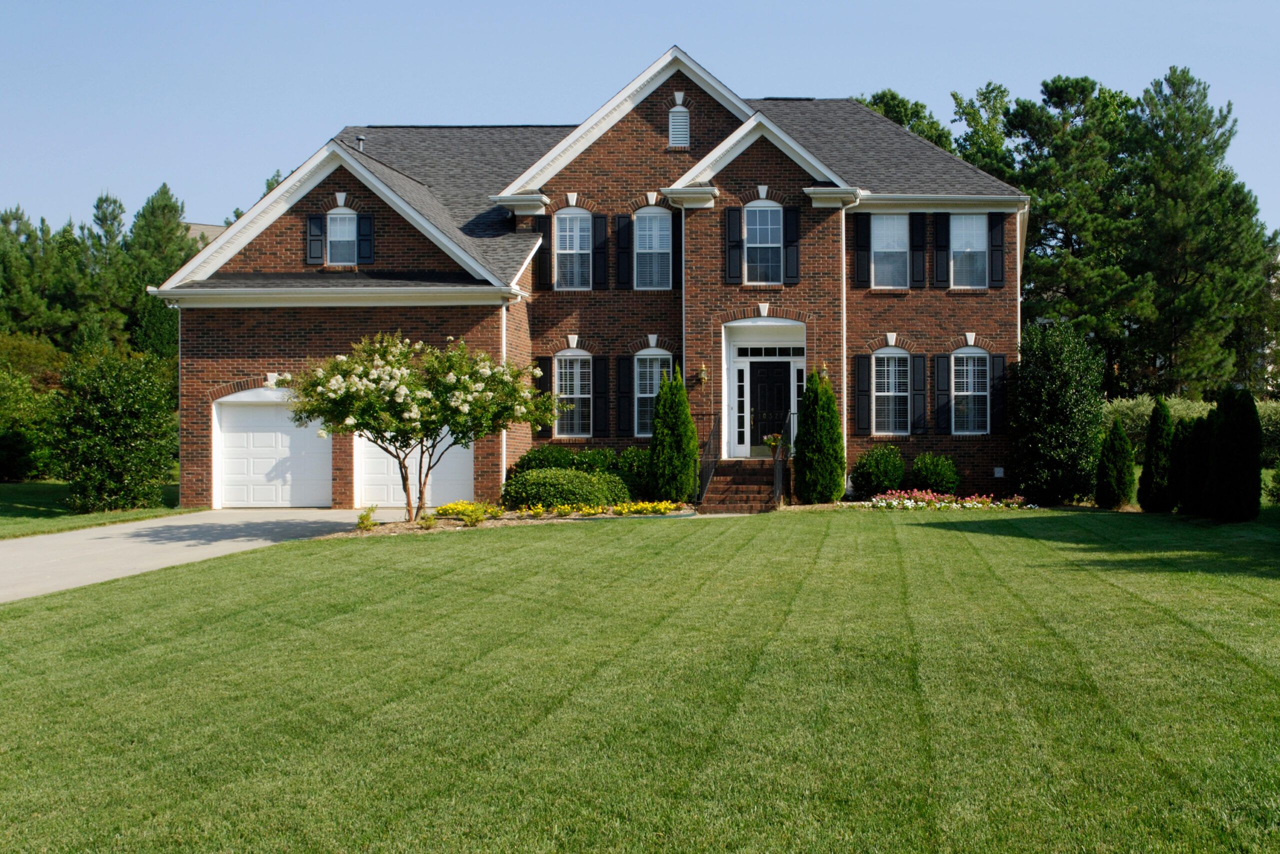 Tips for Achieving a Lush, Lively and Organic Lawn