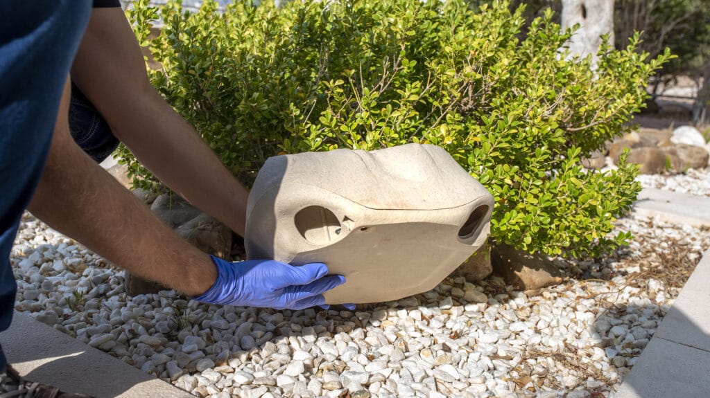 How Much Does Mice Extermination Cost?