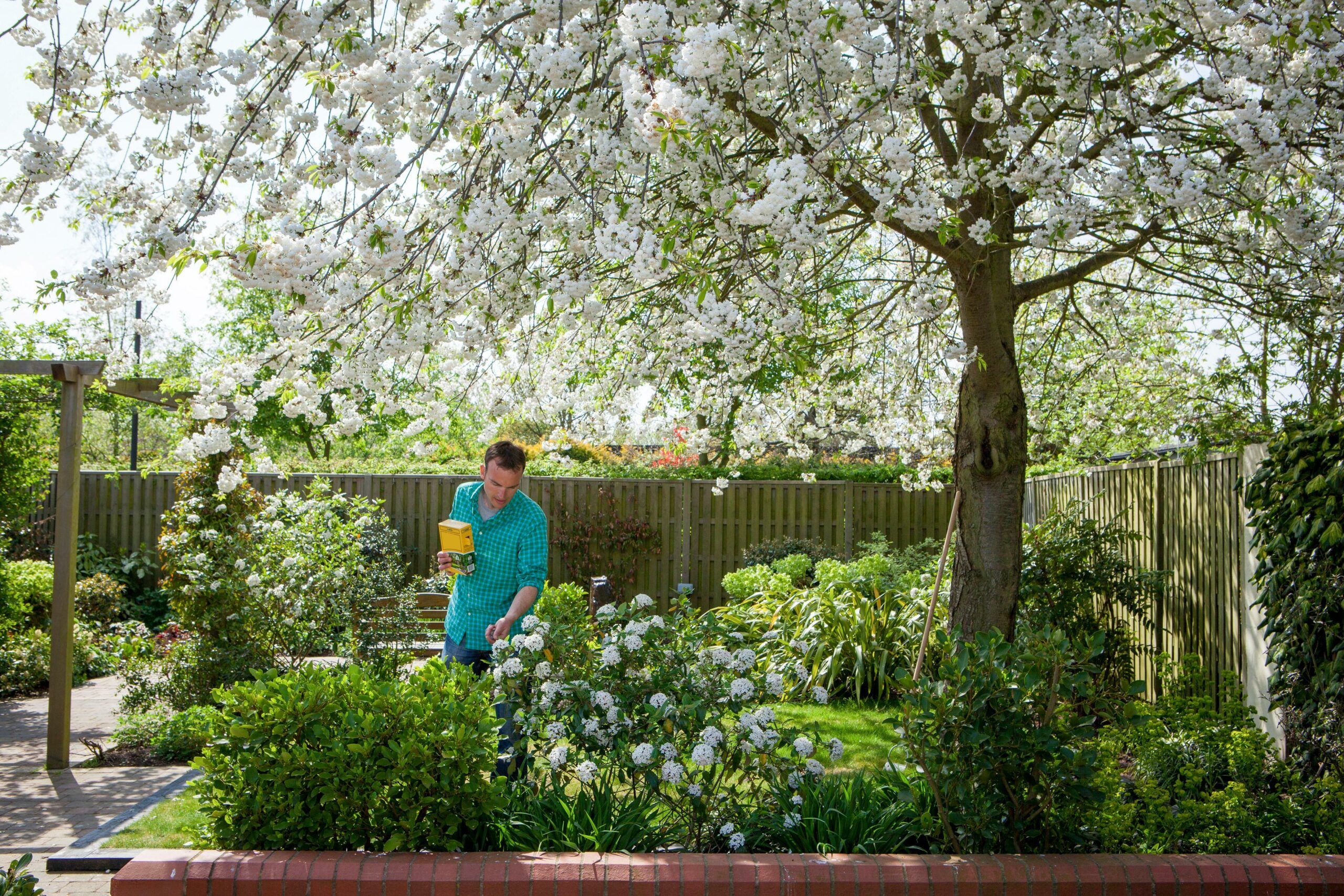 Should You Use Sulfur in the Garden?