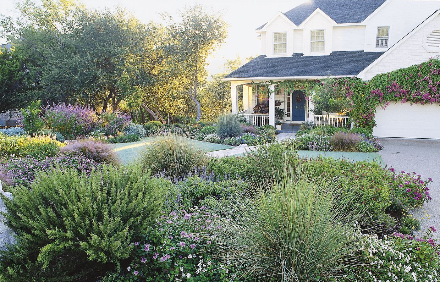 Lawn-Less Yard Design Ideas
