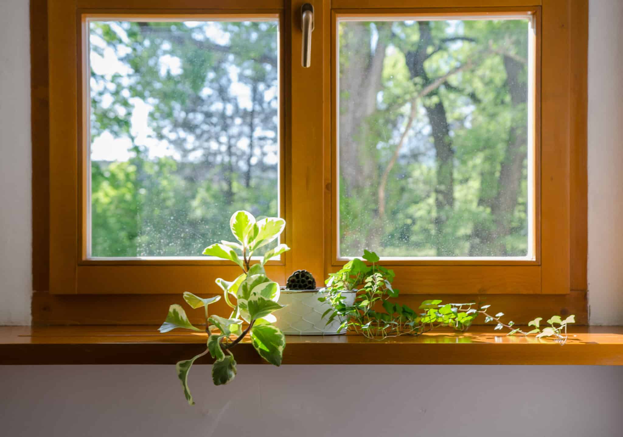 Types of Windows